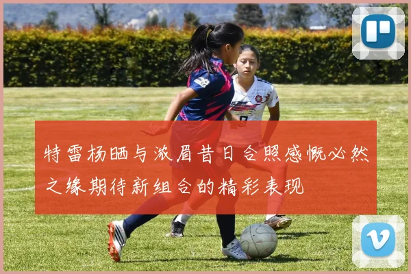 特雷杨晒与浓眉昔日合照感慨必然之缘期待新组合的精彩表现