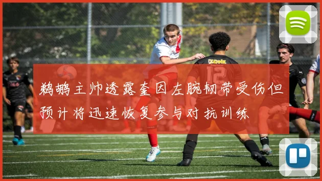 鹈鹕主帅透露奎因左腕韧带受伤但预计将迅速恢复参与对抗训练